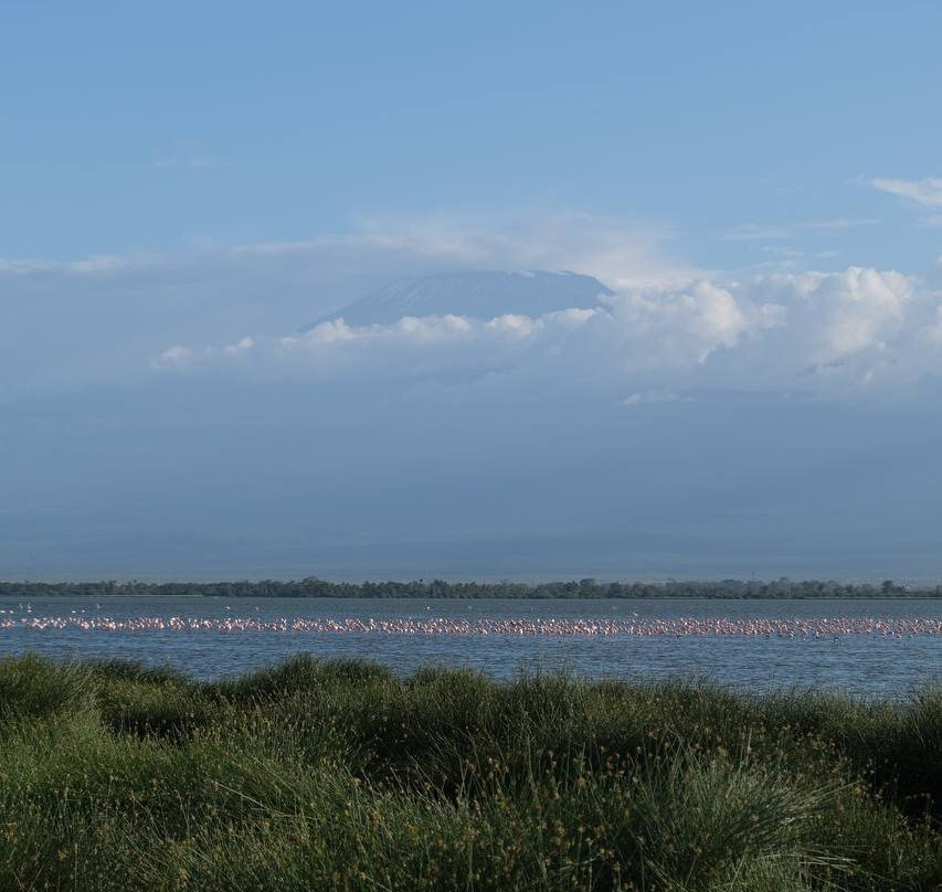 Mufasa Tours and Travels-内罗毕必去景点