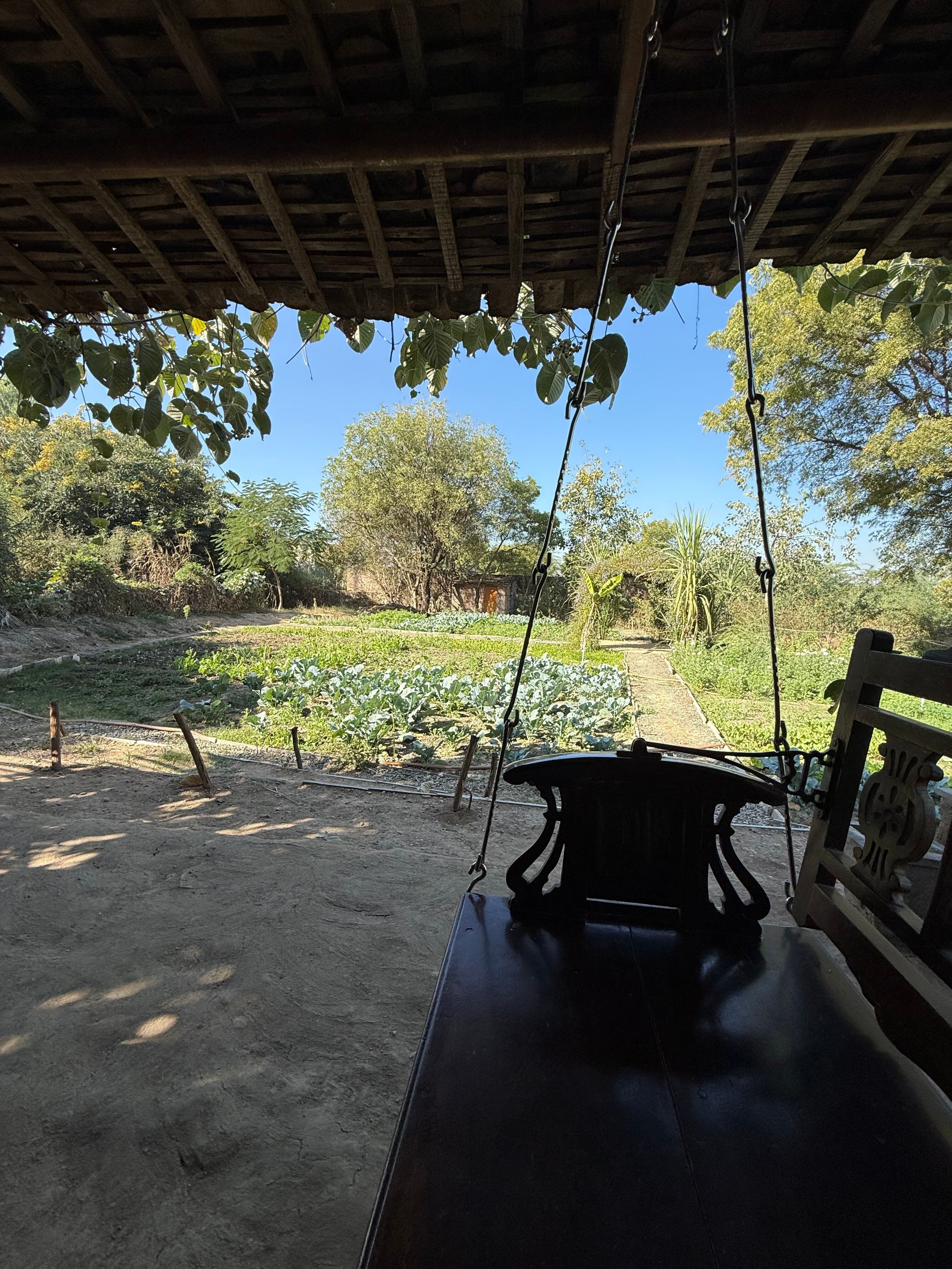 Bijapur Lodge Jawai-官方