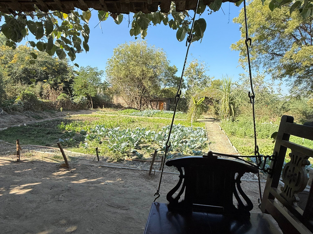 Bijapur Lodge Jawai主图