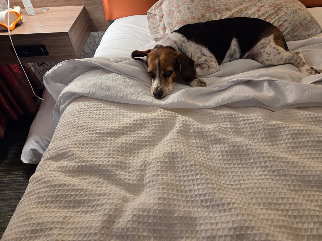 Home2 Suites by Hilton Edison主图