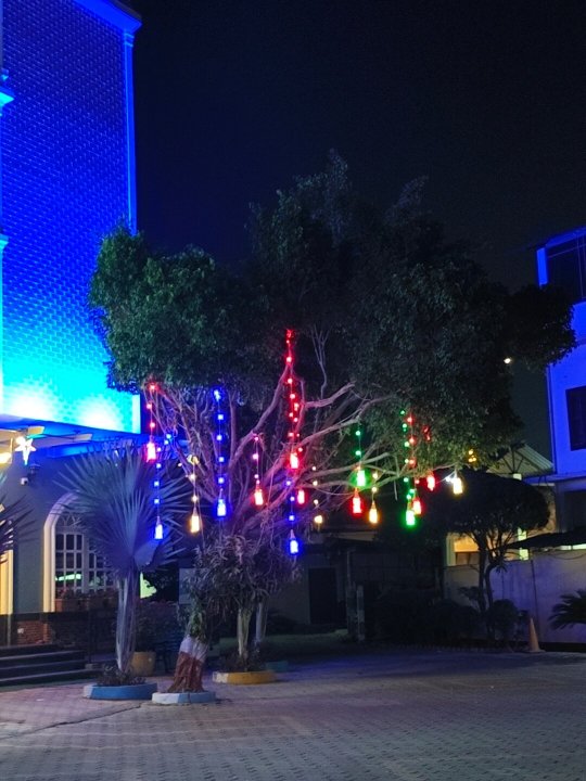 Dichang Resort-官方