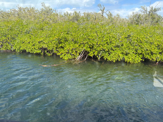 Sealand Adventure Tours-乔治城必去景点