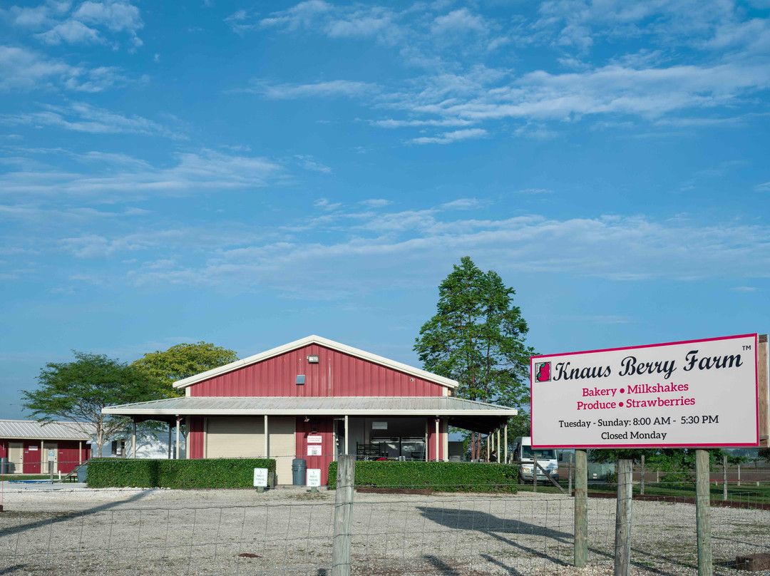 Knaus Berry Farm-霍姆斯特德必去景点