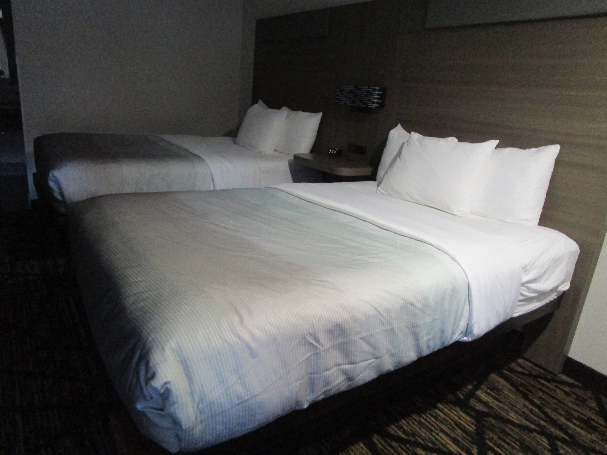 Quality Inn & Suites Athens University Area-客卧