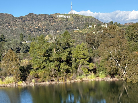 Hollywood City Tours-洛杉矶必去景点
