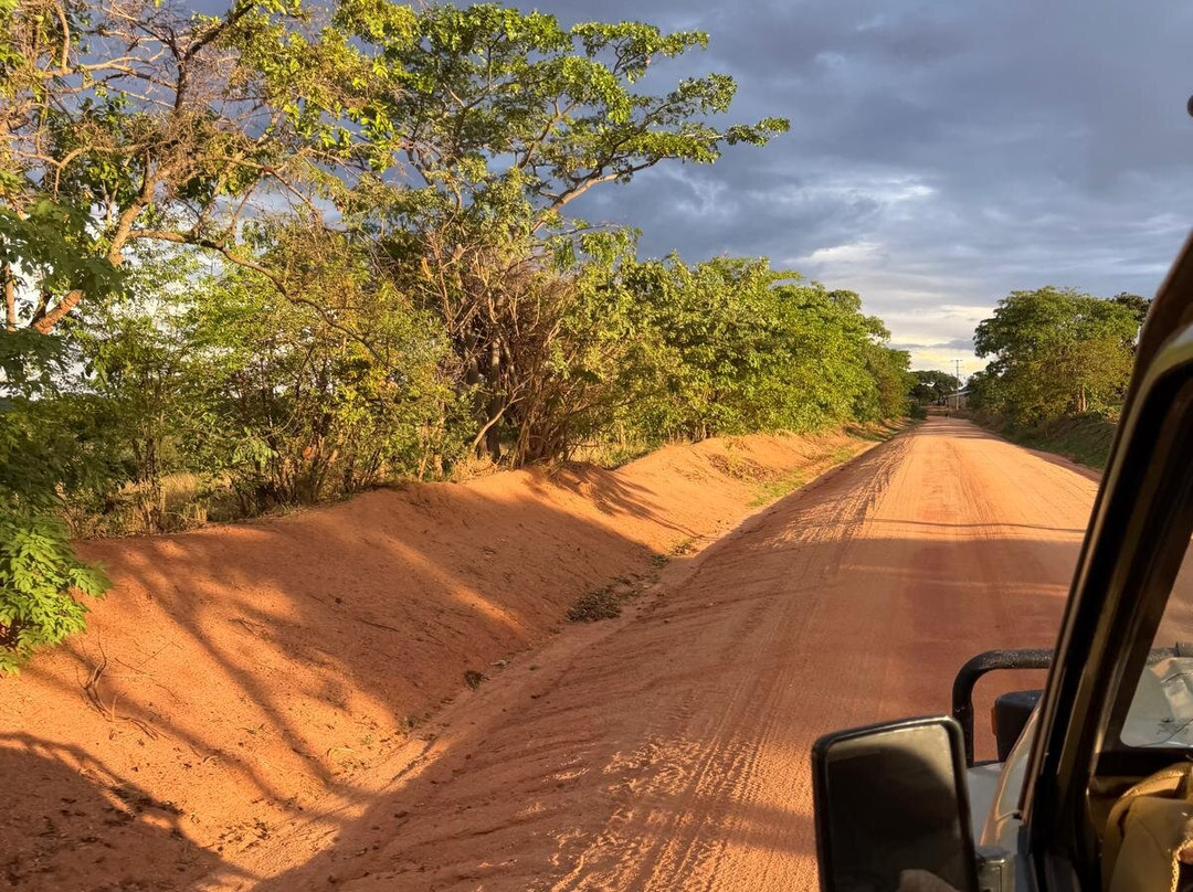 African Ratel Safari-Dar es Salaam必去景点