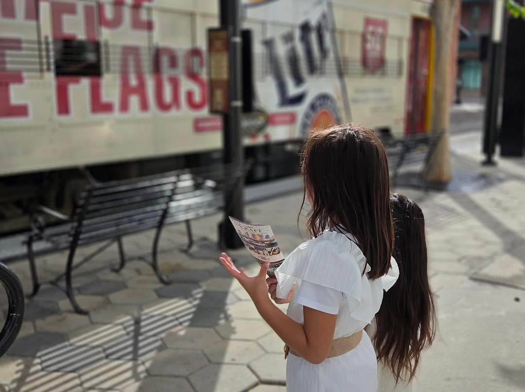 TECO Line Streetcar System-坦帕必去景点