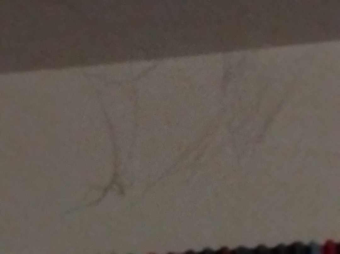 Travelodge Berwick upon Tweed主图