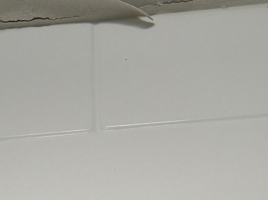 Hampton Inn & Suites Tyler-South主图