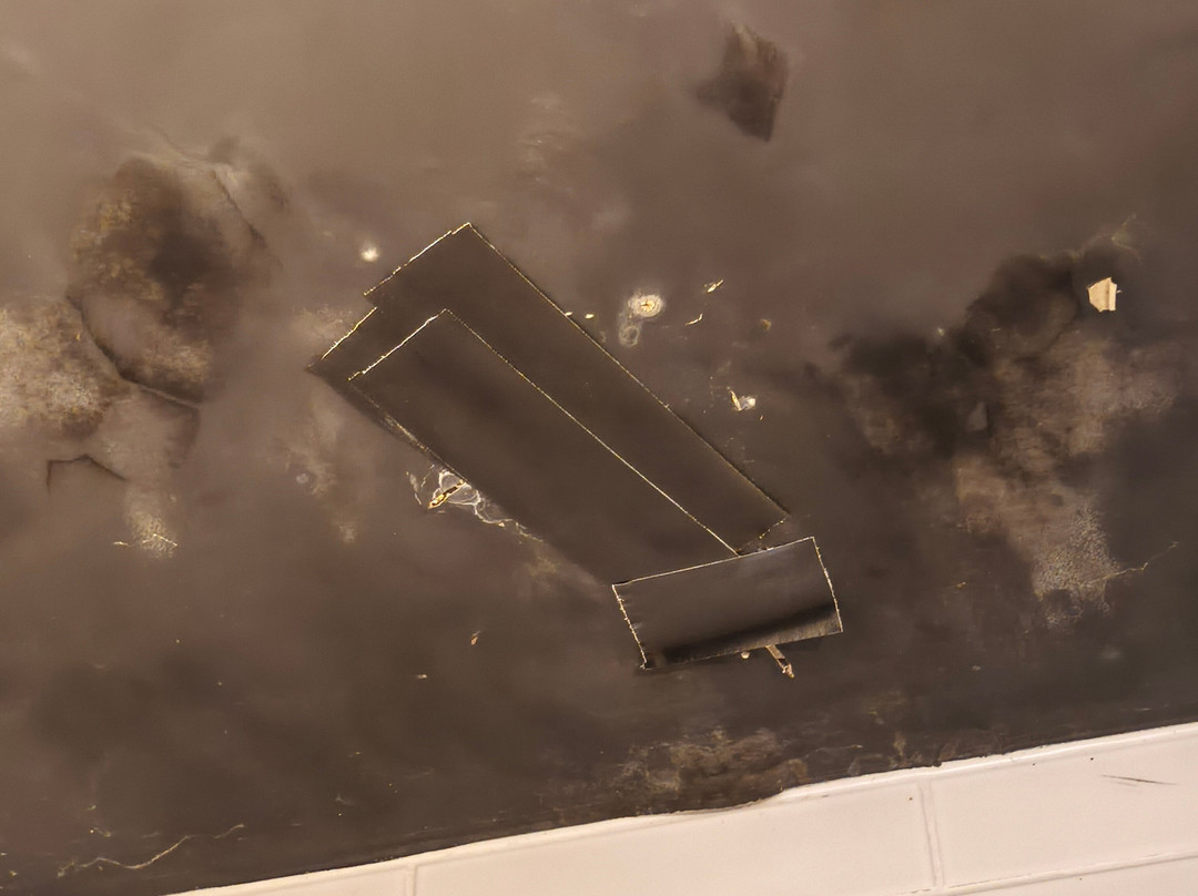 派帕斯蒙纳酒店主图