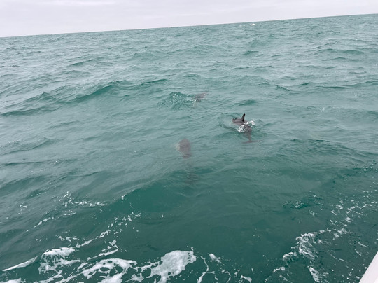 St Ives Boats Dolly P-圣艾维斯必去景点