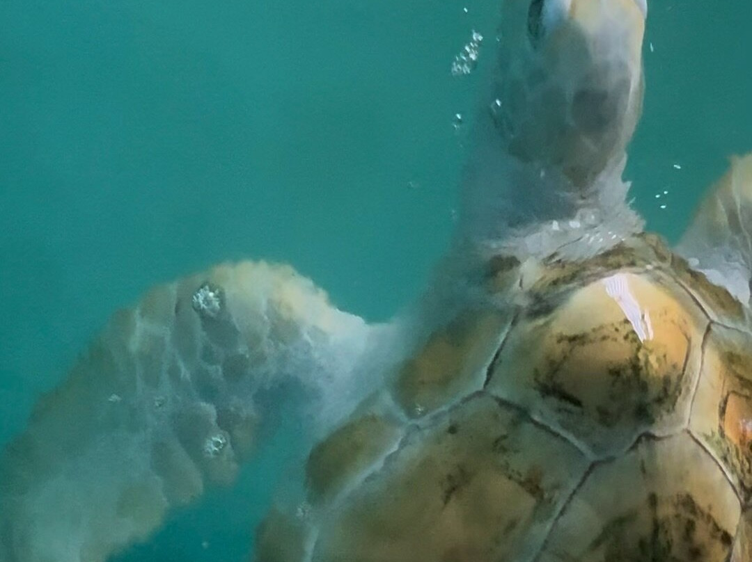 Ceylon Hunt-赛杜瓦必去景点