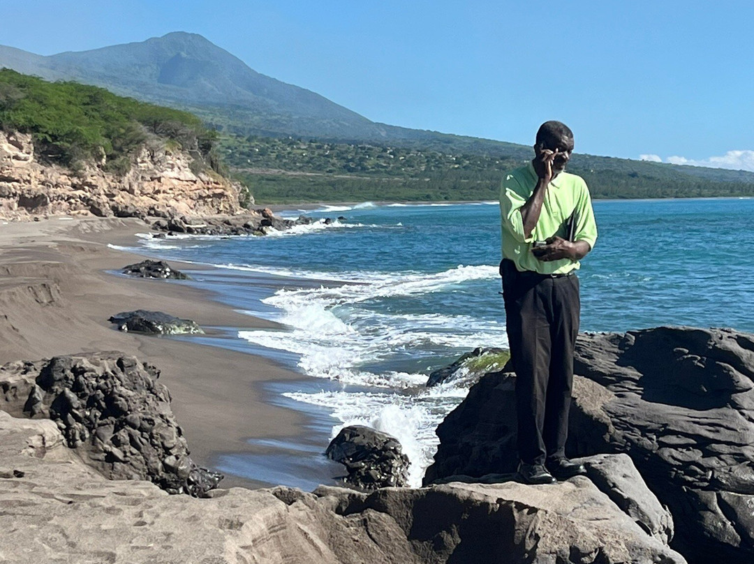 Tropical Mansion Suites主图