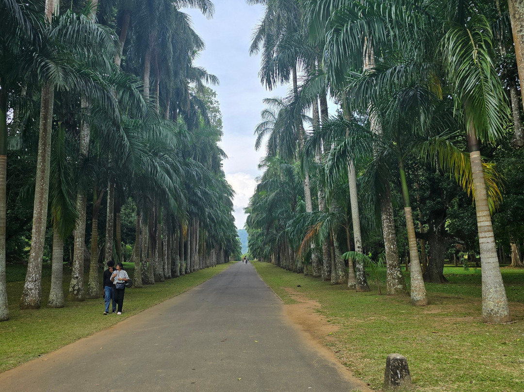 Lux Tours Lanka-康提必去景点