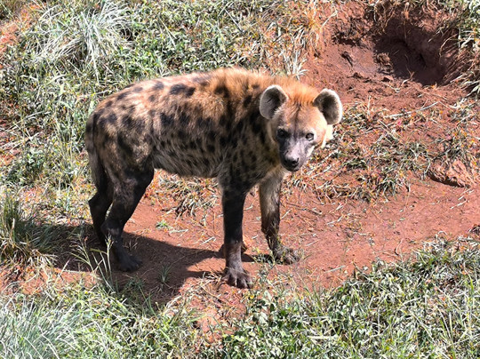 CTC Conservation Center-Mpigi必去景点