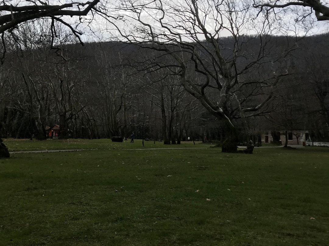 Nisi Margaritas Hotel主图