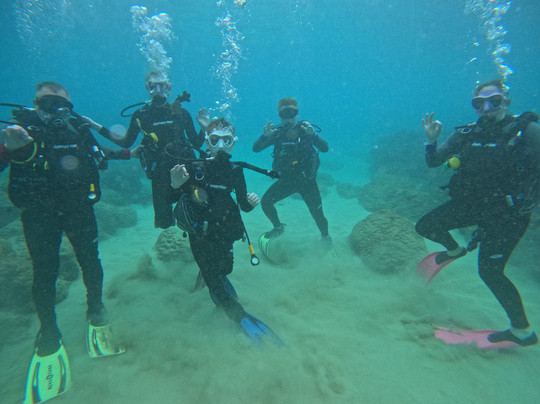 深层生态学-哈雷瓦必去景点