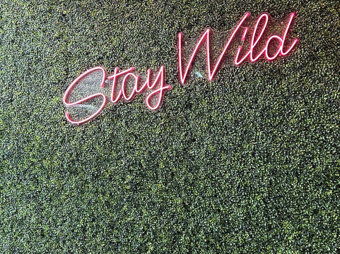 Wild Leap Atlanta-亚特兰大必去景点