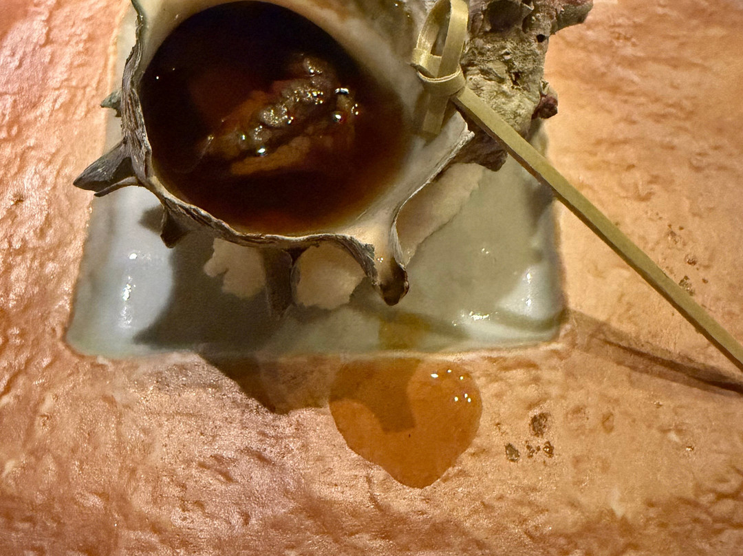 IKI Retreat KAIRI MURAKAMI主图