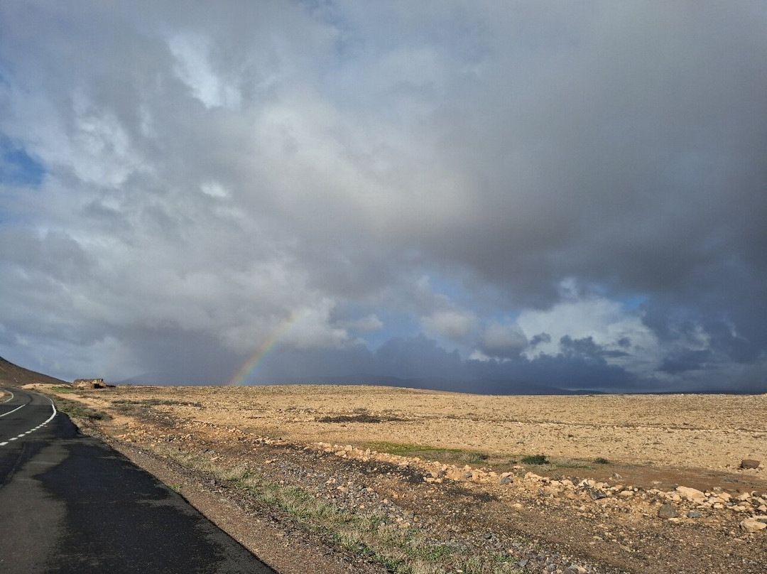 Cool Runnings-Caleta de Fuste必去景点