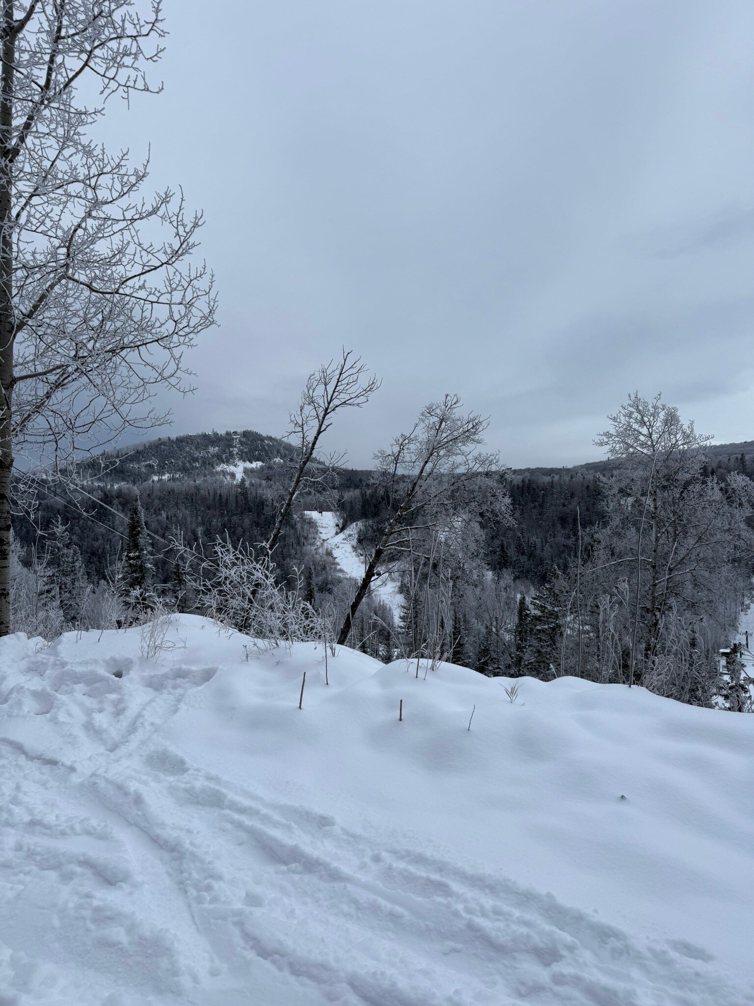 Eagle Ridge Resort At Lutsen Mountain-官方