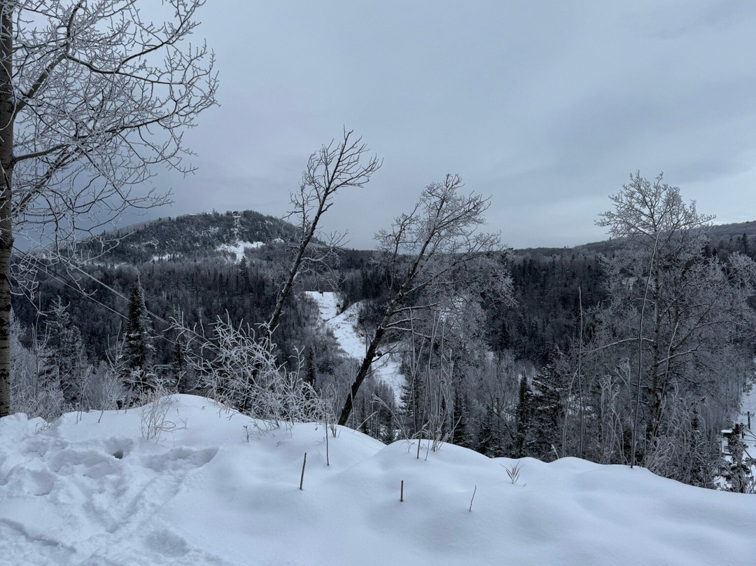 Eagle Ridge Resort At Lutsen Mountain主图