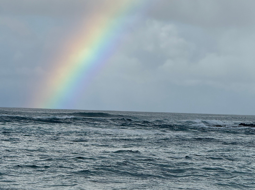 拉尼亚克雅海滩-哈雷瓦必去景点