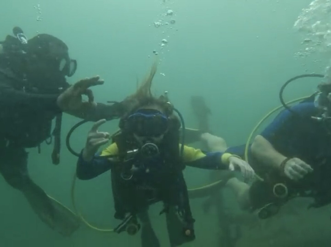 Bocas Pirates Dive Center-博卡斯镇必去景点