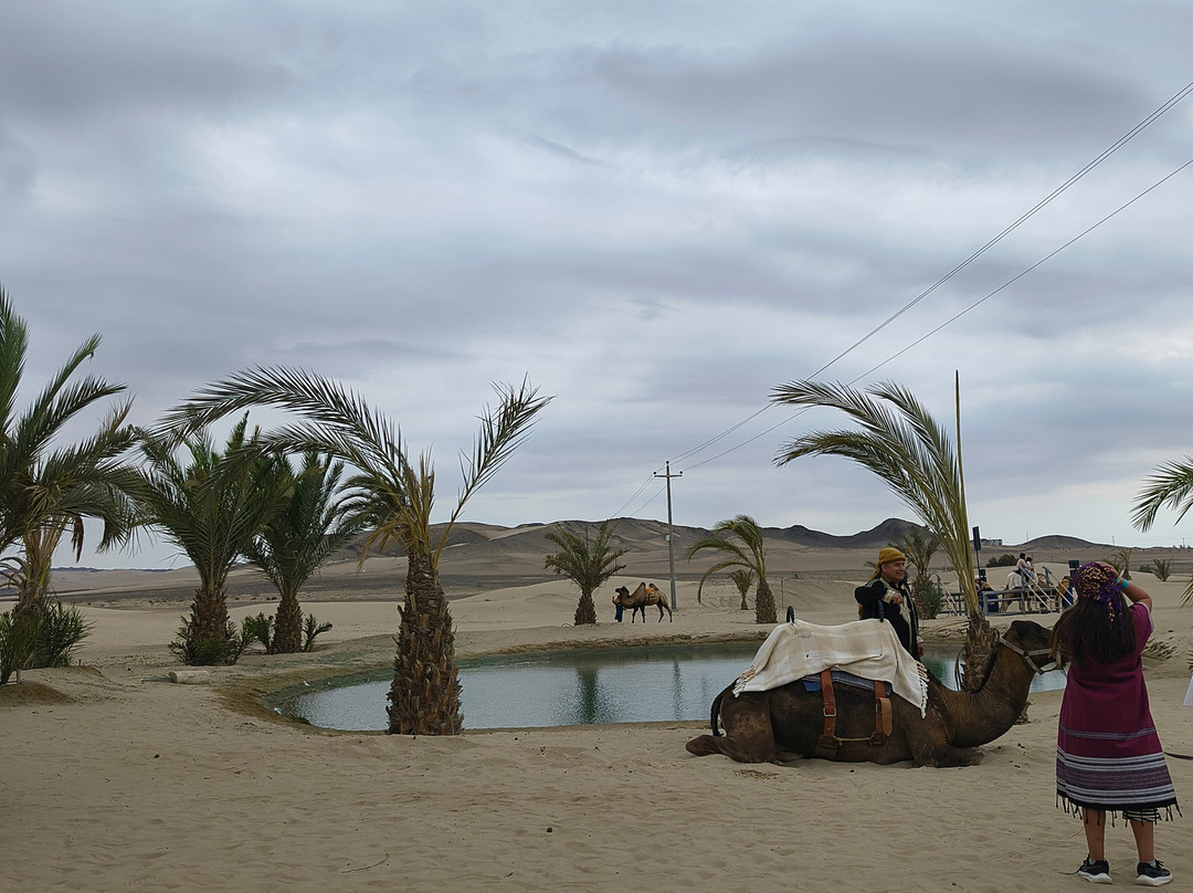 Dromedarius-伊卡必去景点