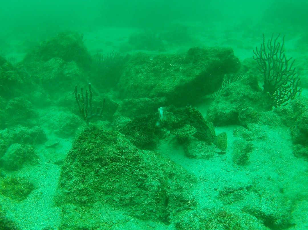 Blue Nation-洛雷托必去景点