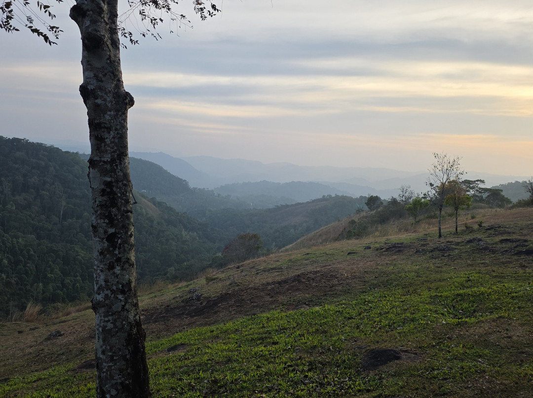Kochi Taxi-柯钦必去景点