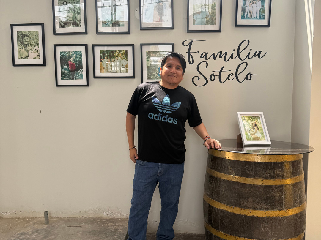 Bodega Y Viñedo Sotelo-伊卡必去景点