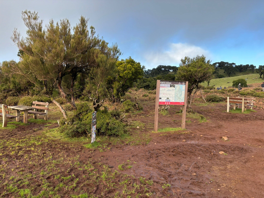 Posto Florestal Fanal