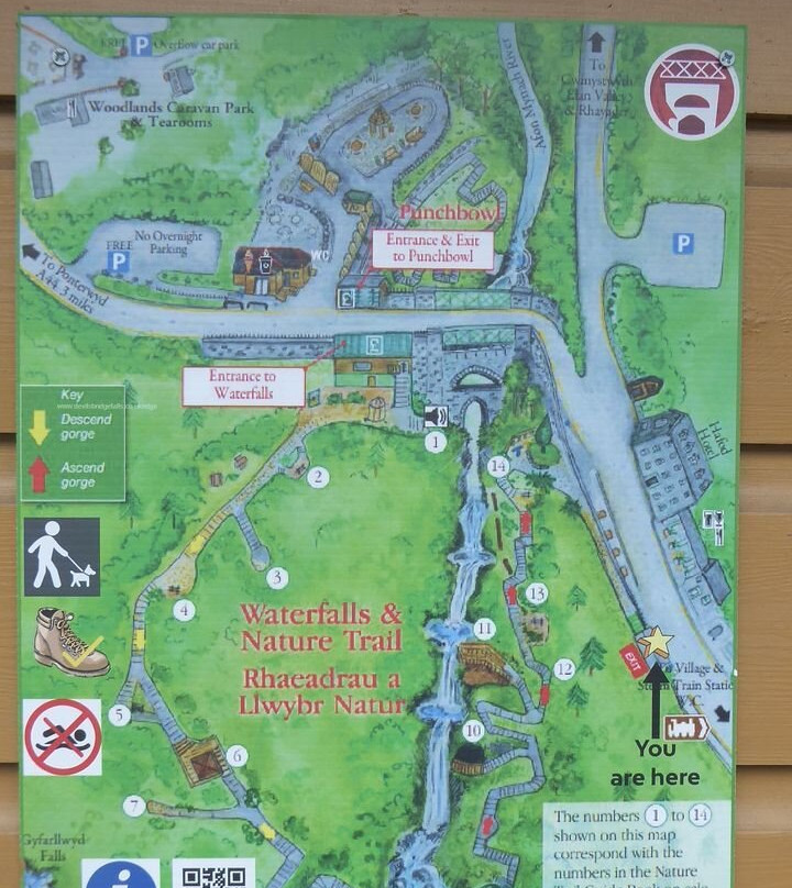 Vale of Rheidol Railway-阿伯里斯特威斯必去景点