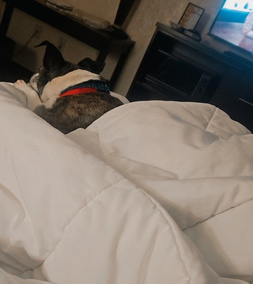 Baymont by Wyndham Bridgeport/Frankenmuth主图