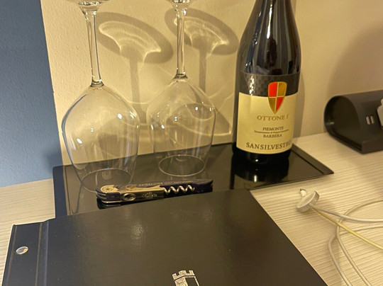 Villa Bernasconi主图