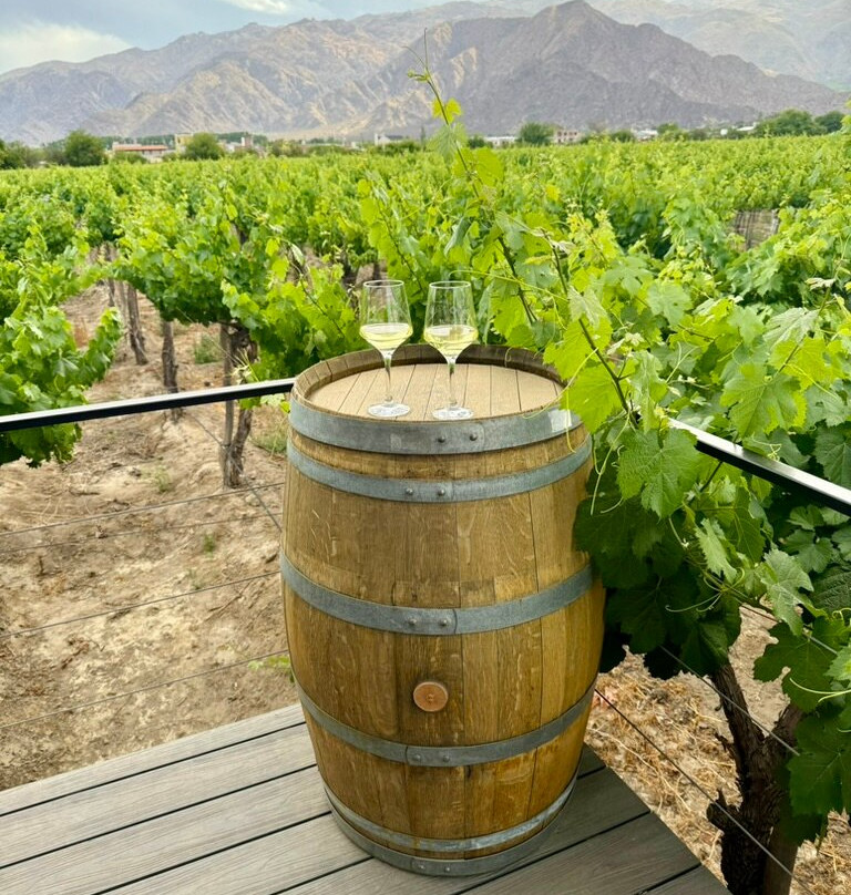 El Porvenir Wine Lodge主图