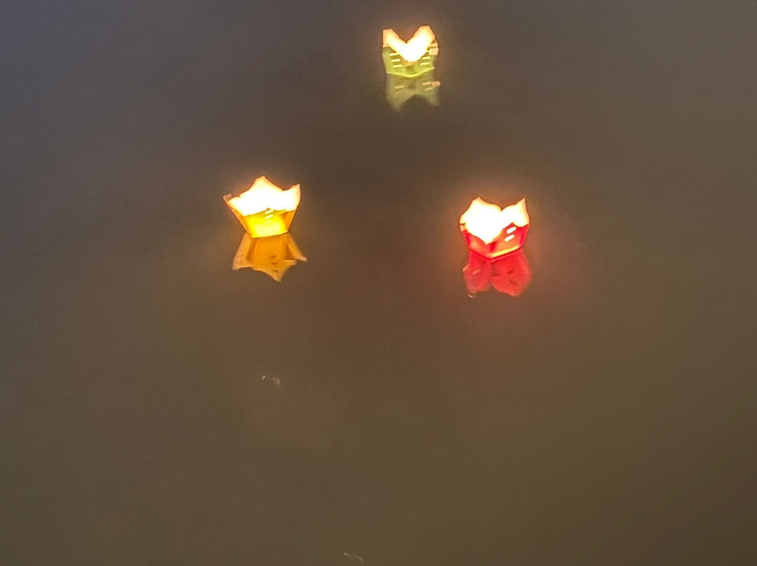 Onion Phi Tours Hoi An-会安必去景点