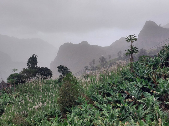 Pension Chez Sandro主图