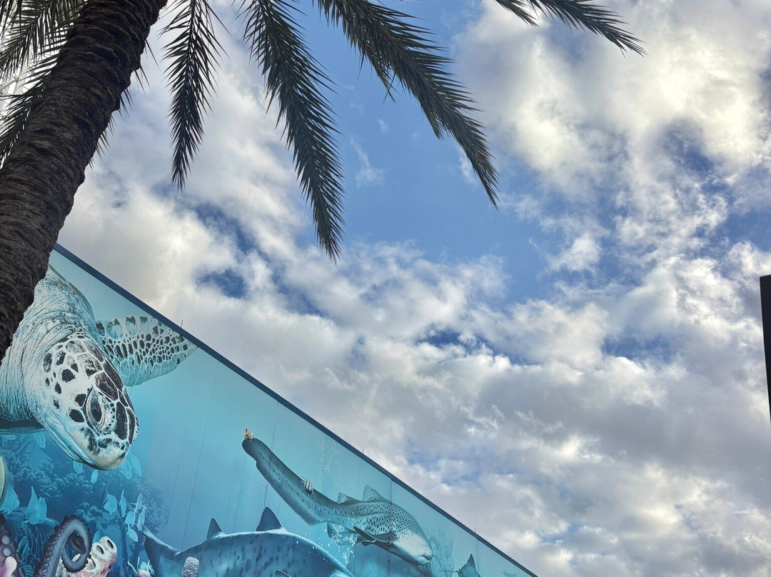 ICON Park-奥兰多必去景点