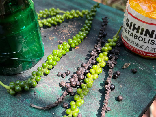 Sirilak Spice & Herbal Garden-Matale必去景点