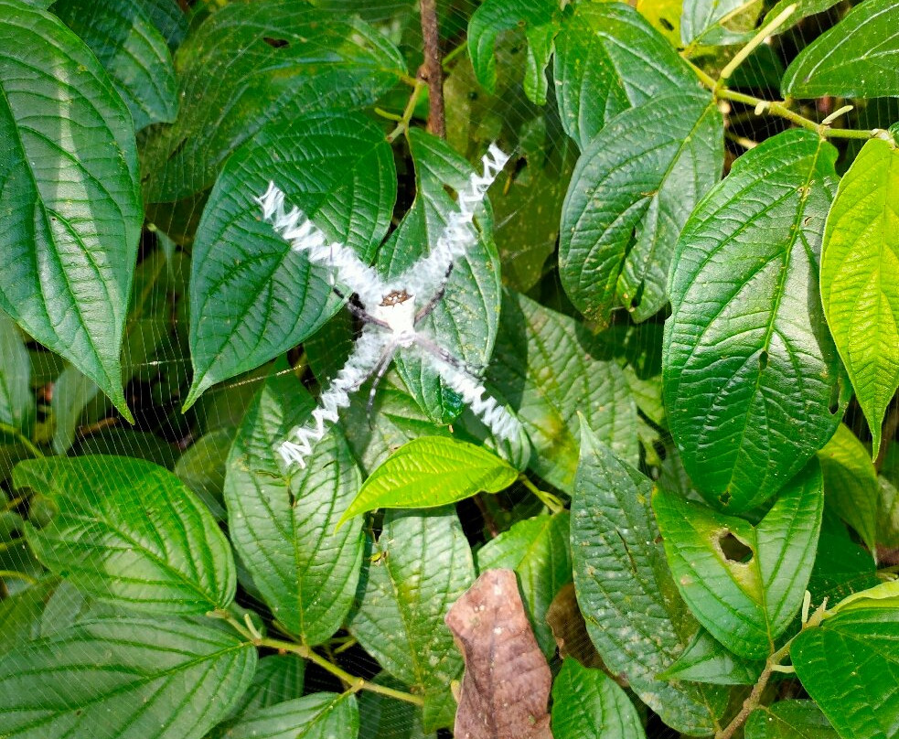 Manuel Tour Guide-卡维塔必去景点