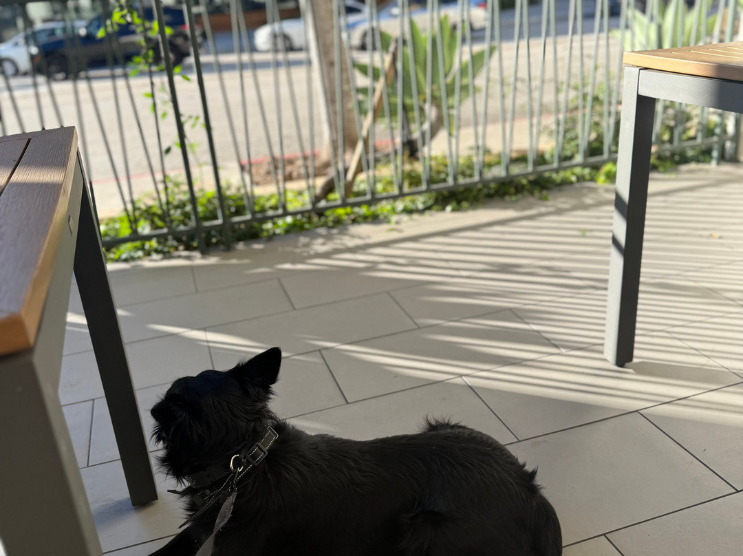 洛杉矶帕萨迪纳/老城万怡酒店主图