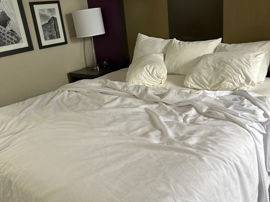 La Quinta Inn & Suites by Wyndham Festus - St. Louis South主图