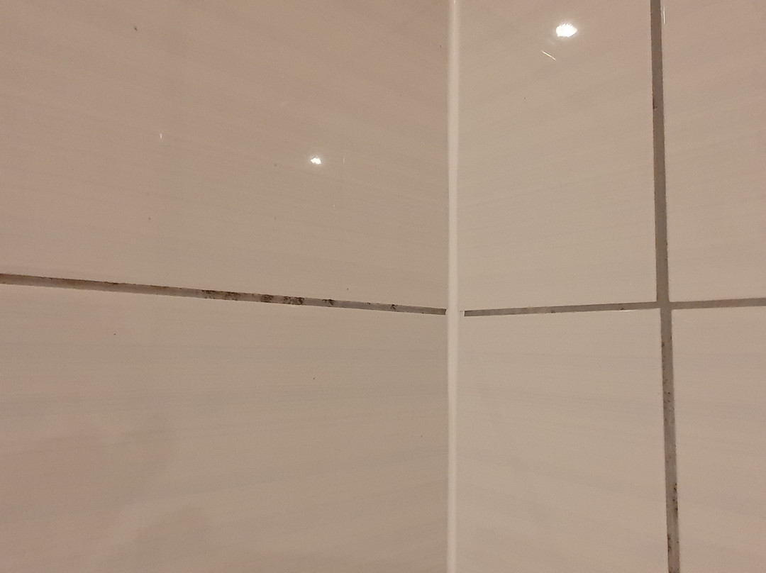 普瑞米尔格兰露斯酒店主图