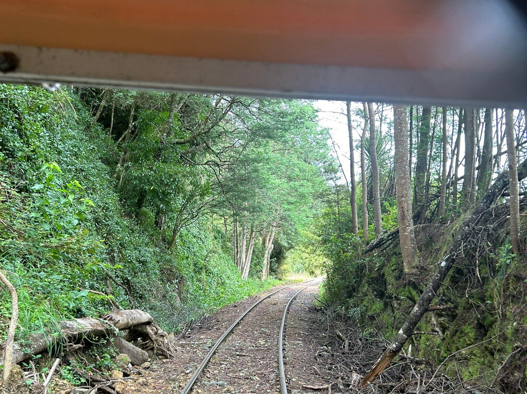 Forgotten World Adventures-Taumarunui必去景点