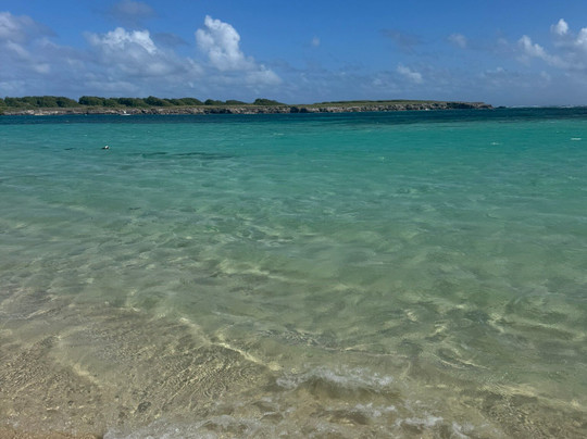 Tarzan Excursion Guadeloupe-Sainte-Anne必去景点