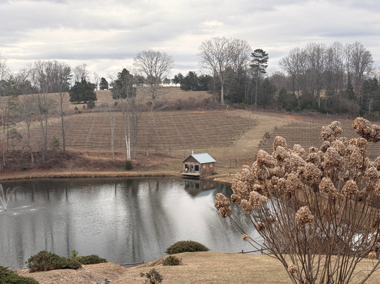 JOLO Winery & Vineyards-Pilot Mountain必去景点