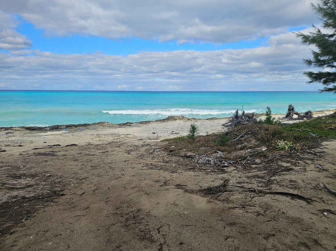 Radio Beach-Alice Town必去景点