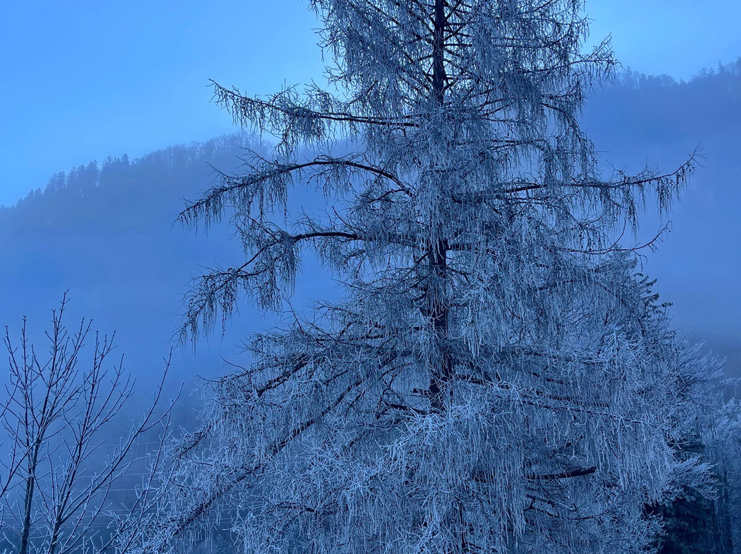 Myswisspanorama-苏黎世必去景点